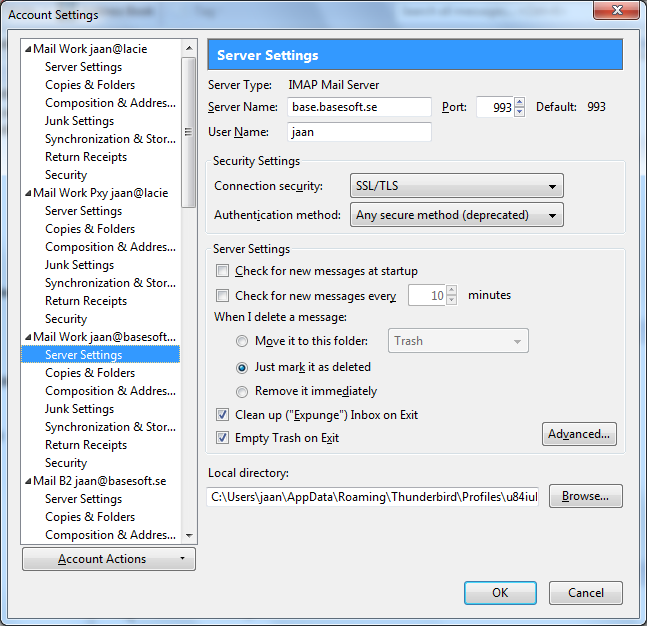 Screen snap-shot - Netscape Mail Account Settings